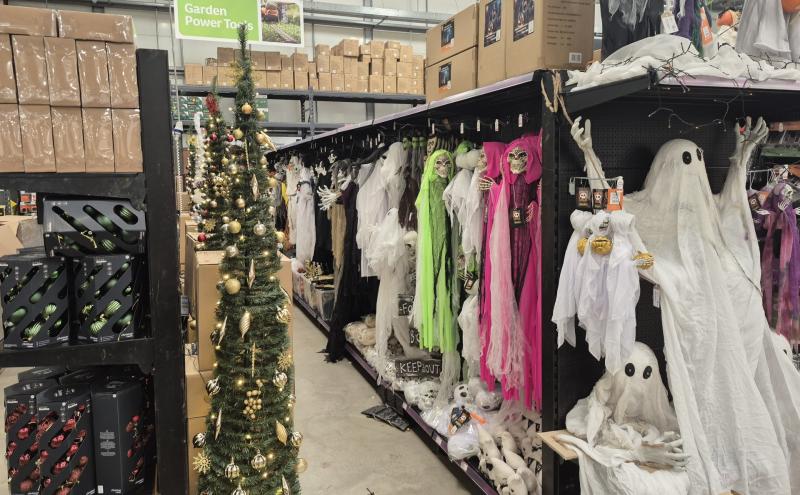 'Madness' - Christmas trees for sale alongside Halloween decorations in Kildare store