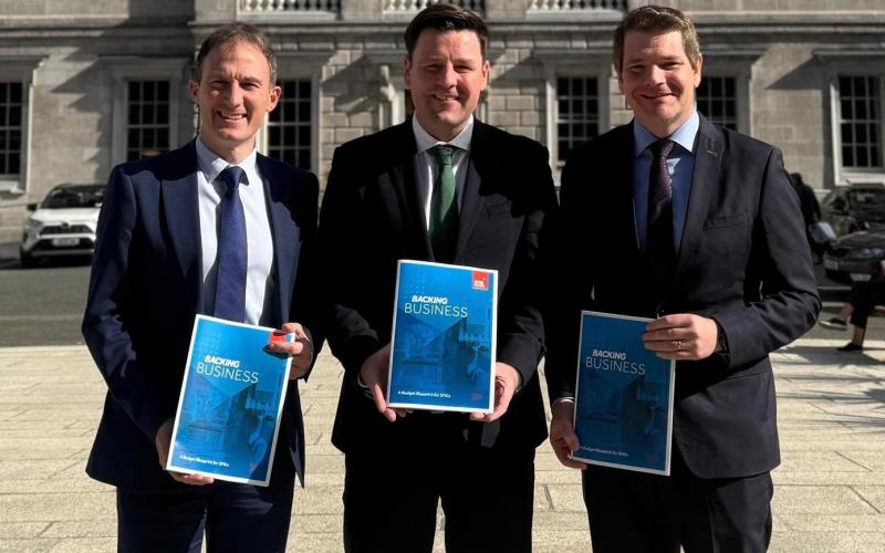 New report by Offaly TD urges Government to help  small and medium-sized enterprises in budget