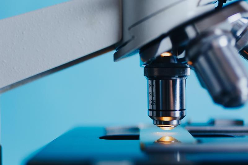 Limerick Festival of Science to receive €50,000 as part of government funding