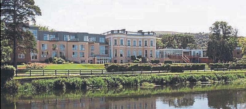 Charity auction in Tipperary will support injured jockeys and pony show