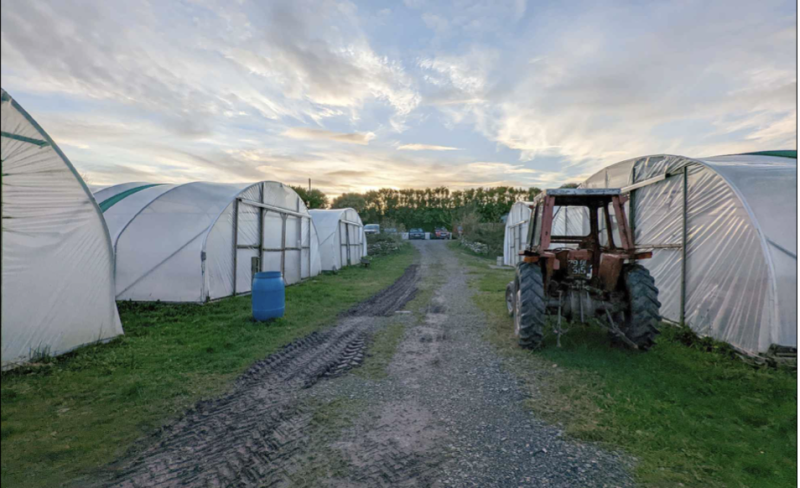 Údarás na Gaeltachta secures planning retention at Falcarragh horticulture enterprise