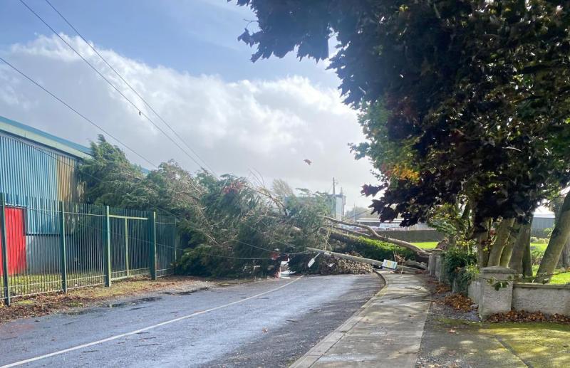 BREAKING: Tree and ESB pole crash down on to car in Limerick during Storm Amy