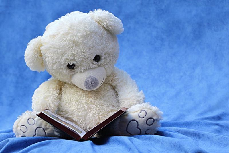 Kildare Mobile Library Service back in operation, council reports