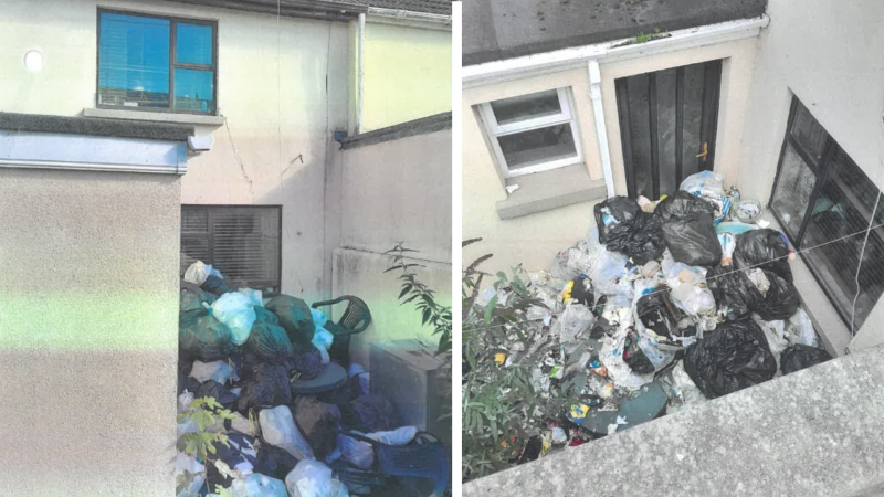 Limerick woman facing arrest amid major ‘health hazard’ in her own back garden