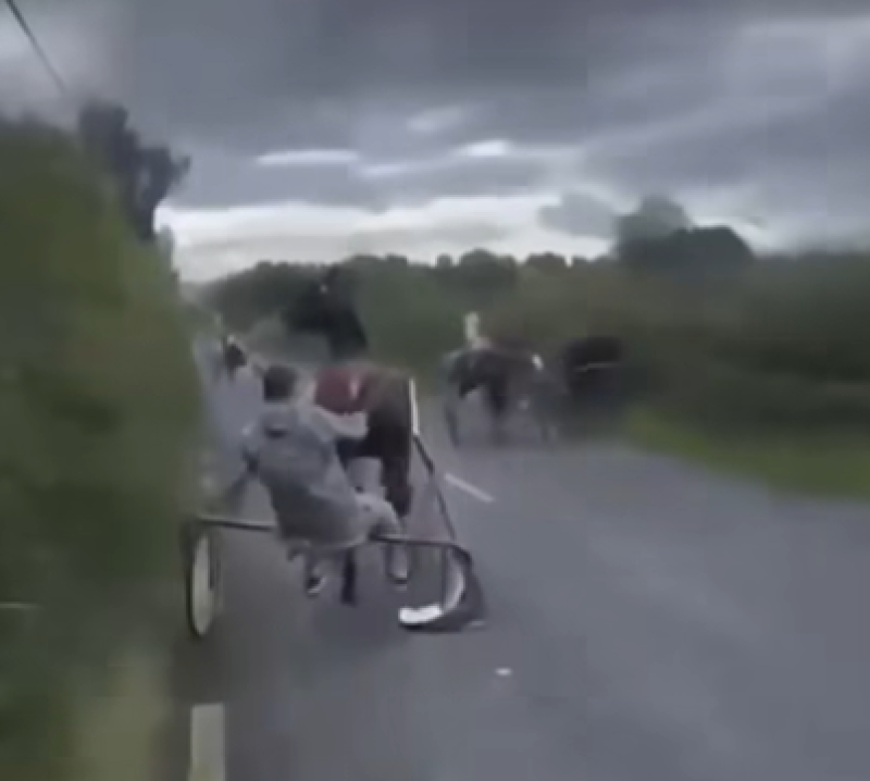 WATCH: Rider thrown in high-speed sulky crash: calls to ban road racing grow