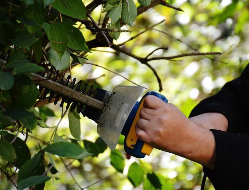 Hedge cutting