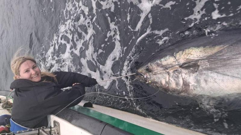 ‘I am physically exhausted’ - Killybegs woman describes monster 760lb tuna catch