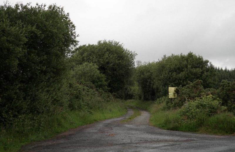 New telecommunications mast proposed for Lisnagra forest at Muff