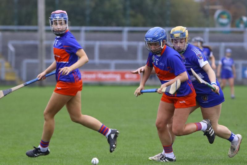 Clinical Drumcullen secure Senior B camogie title with four point win over Tullamore