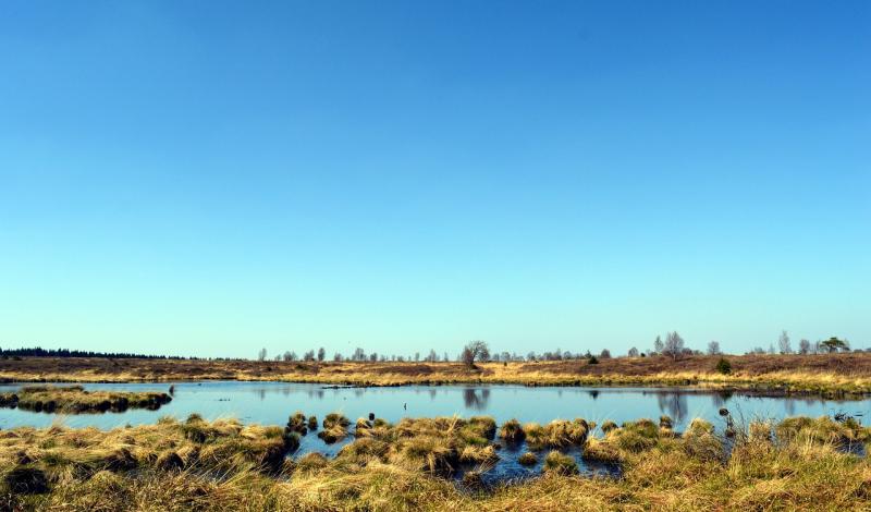 Free men's walk and bog tour to take place in Kildare