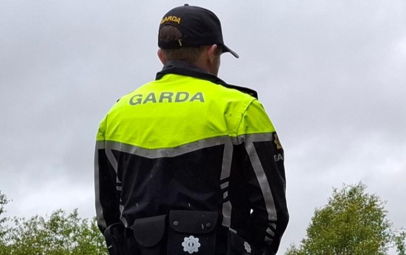 Laois crime