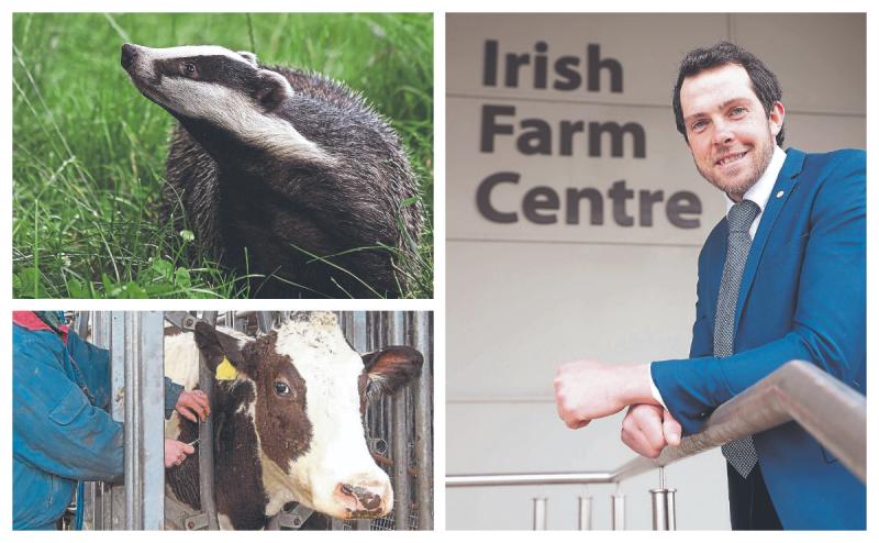 Wildlife control reform need to tackle damaging bovine TB on farms finds Laois man