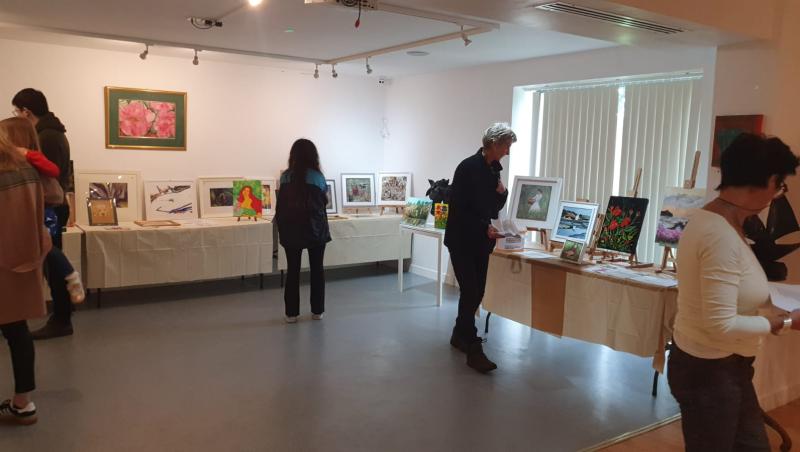 Art exhibition in Tipperary raises over €20,000 for people in Gaza