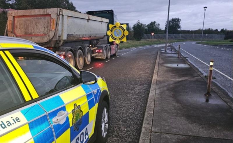 Gardaí prevent 'catastrophic' Louth motorway incident after driver's 'gamble'