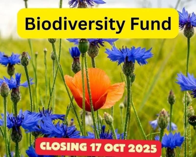 Communities throughout Tipperary are invited to apply for grants for biodiversity projects