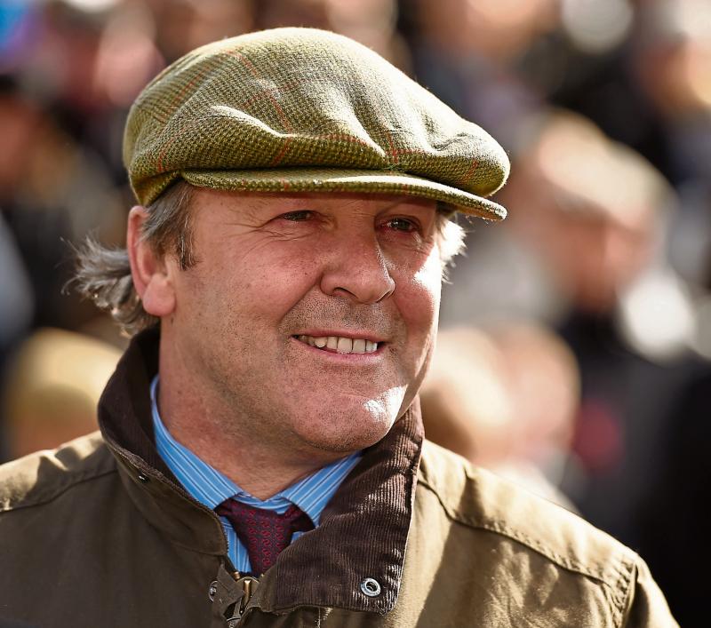 Burglars target leading Limerick horse trainer's yard but leave van behind