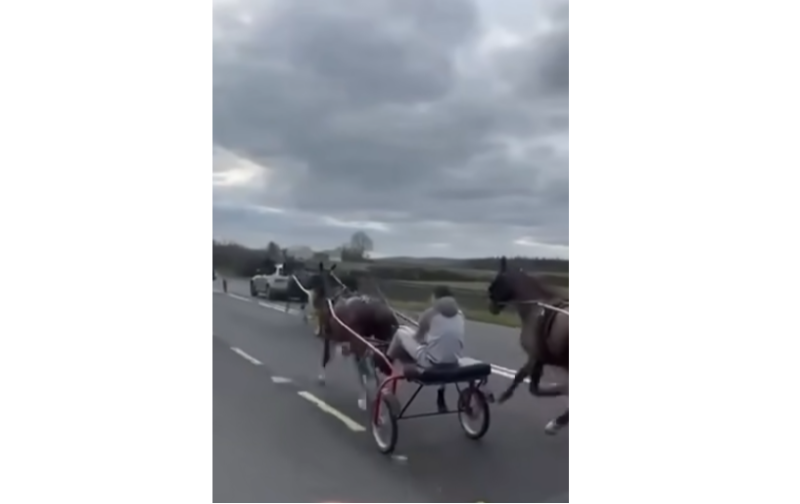 Tipperary Councillor calls for total sulky ban amid road safety concerns