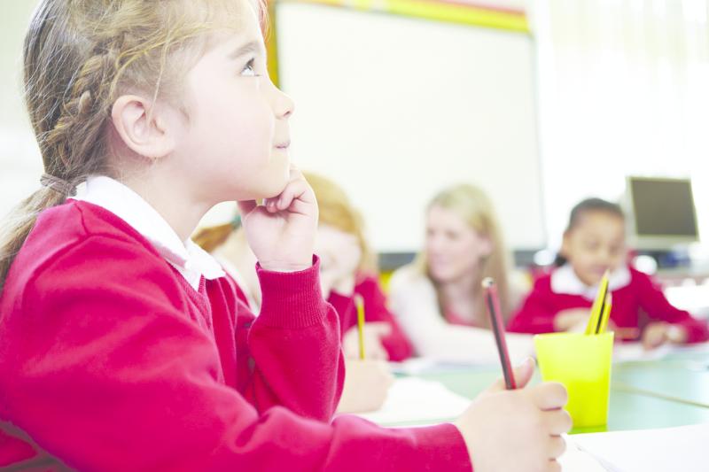 'Backbone of inclusion': Calls for urgent review of SNA guidelines in Clare schools