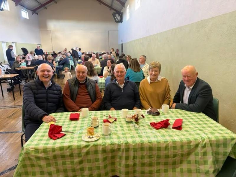 Roof project  proves community spirit is alive and well in a Tipperary village 