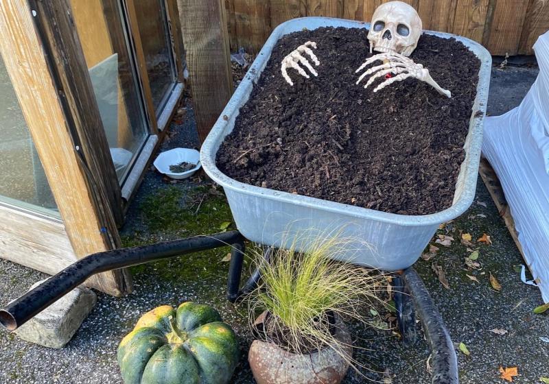 Samhain at Leitrim Organic Centre returns next week