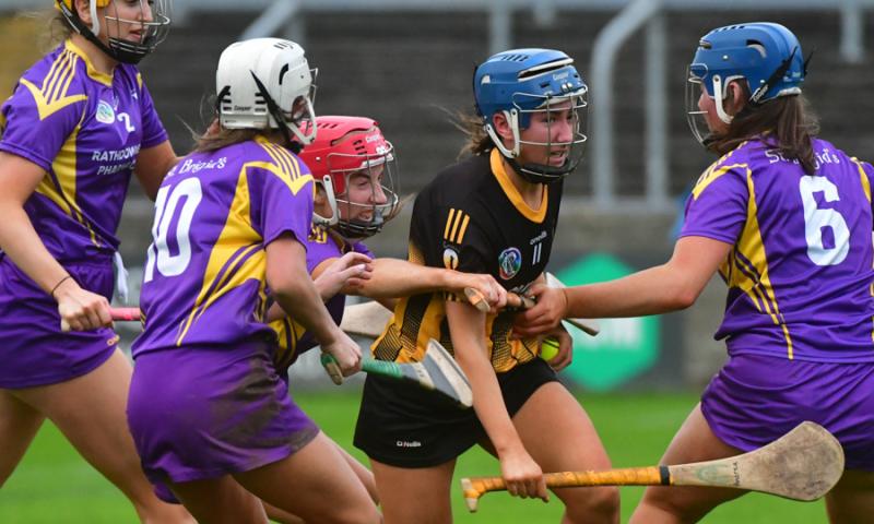 Laois Camogie's top two to clash again as St Brigid's and Camross meet in County Final