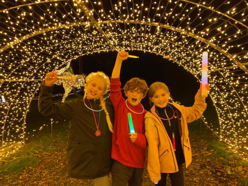 Adventure Lights is back at Skypark Carlingford bringing loads of family fun