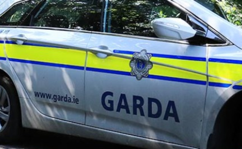 Men armed with gun and and slash hooks storm house in Limerick town
