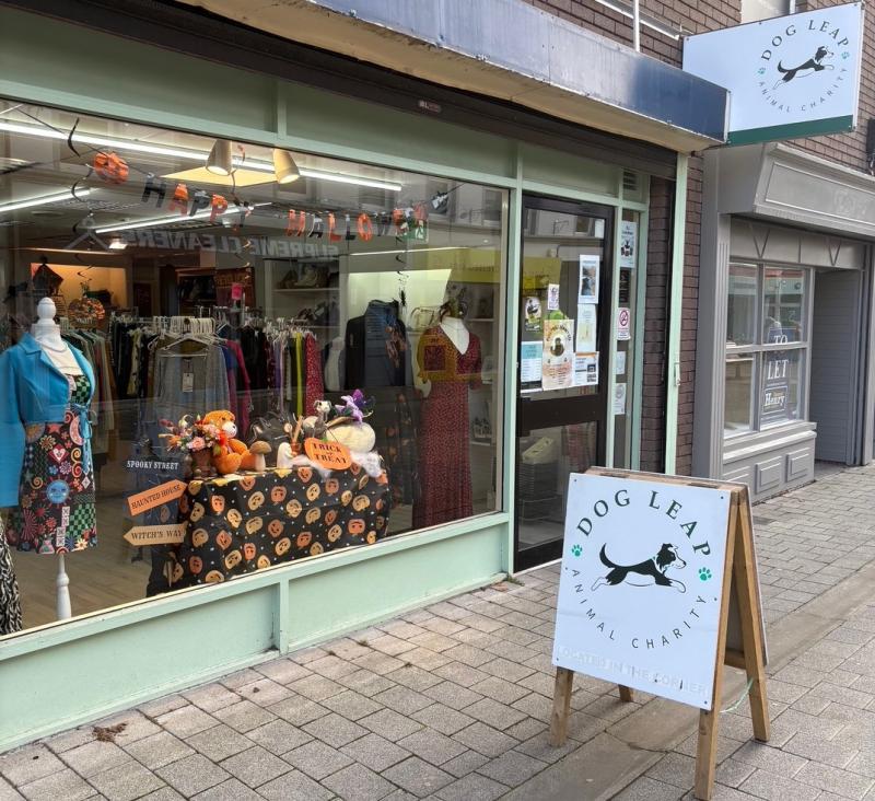 Limavady animal charity supported by community after mounting bills sparks crisis