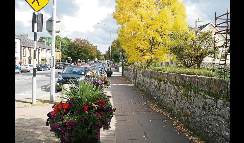 Volunteers’ hard work pays off as Limerick city earns coveted Tidy Towns Gold Medal