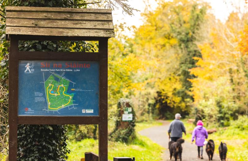 Kildare’s Donadea Forest Park and Mullaghreelan Wood among Top 20 most visited Coillte recreational parks