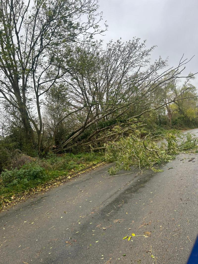LIVE: Kilkenny road users advised to be cautious as more fallen trees are reported