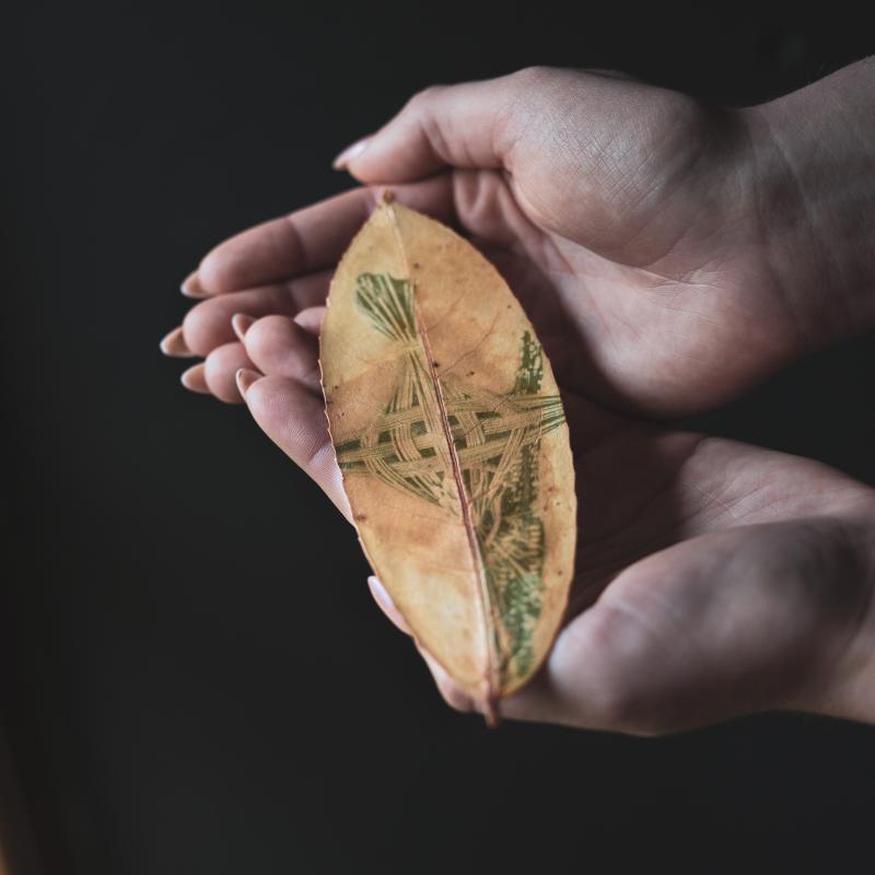 'It Matters...' - a photographic exhibition by Julie Corcoran at Dundalk's Downtown Hub