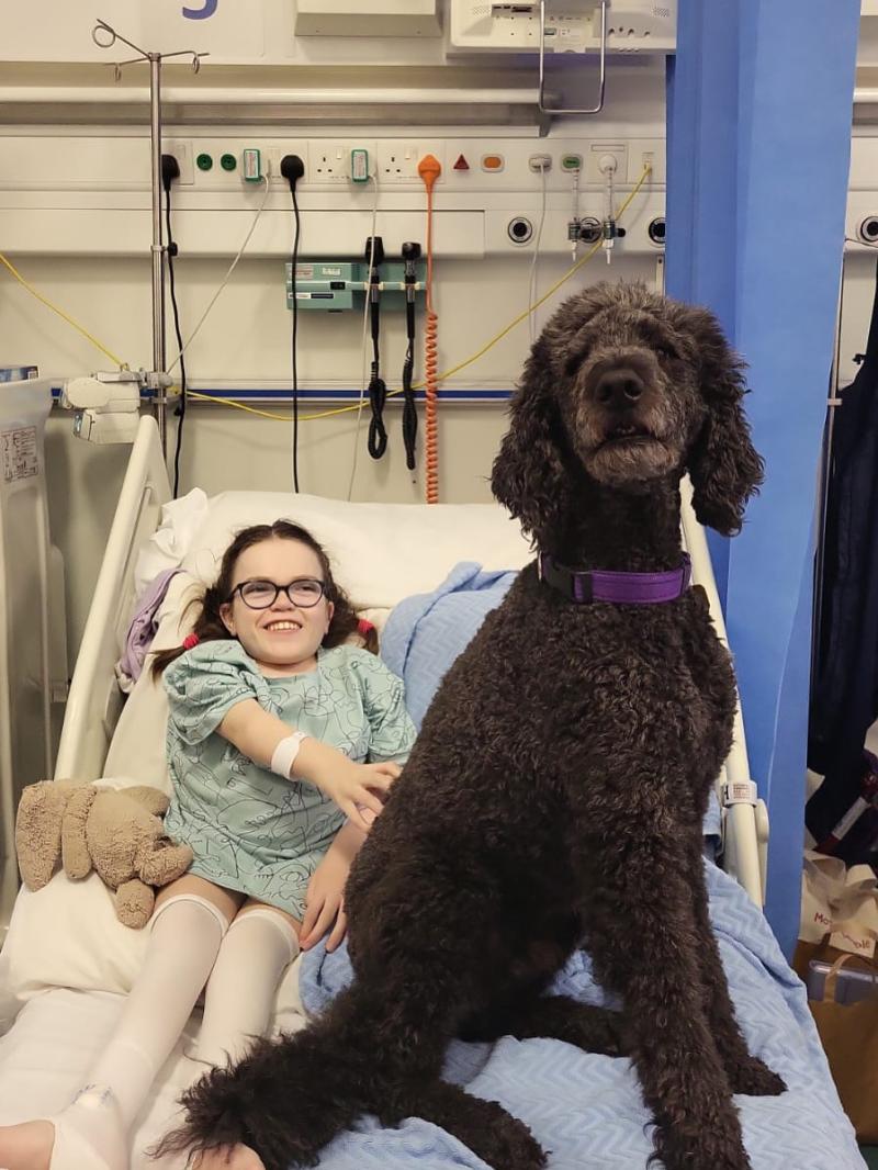 It's a dog's life for assistant canine Mozart at Leitrim school  