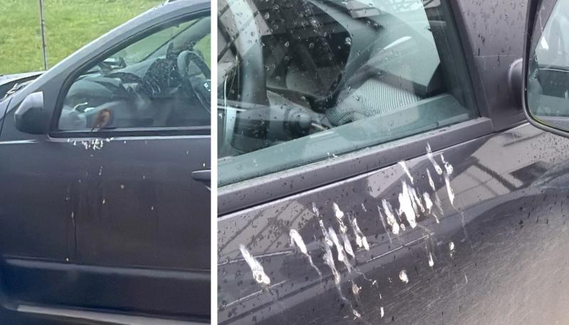 'You're so vain' - Robin in Offaly crapping on cars in Offaly while looking in mirror