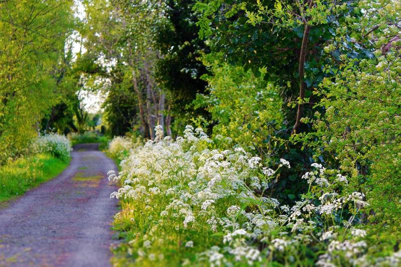 Major funding boost announced for Leitrim outdoor trail adventures