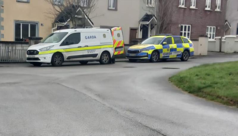 Gardaí rush to scene amid reports of strange man banging on cars near Offaly schools