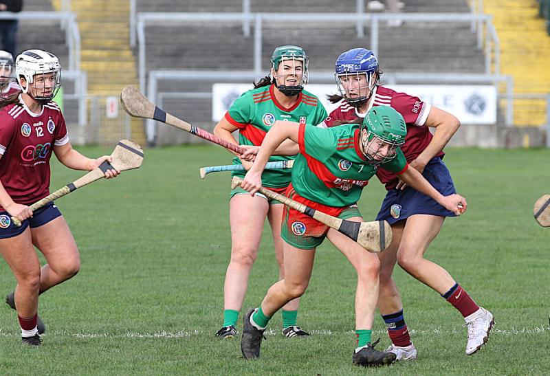 Dicksboro too strong for Birr as they reach Leinster Camogie decider