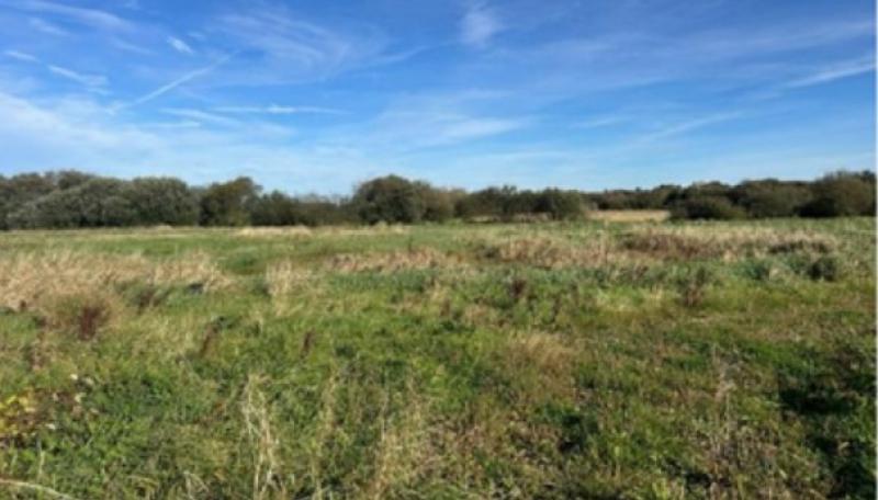 shannonbridge callows walkway