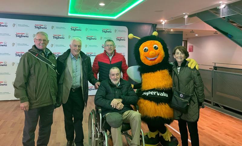 Tipperary community group wins South East Regional Tidy Towns award for second year in a row