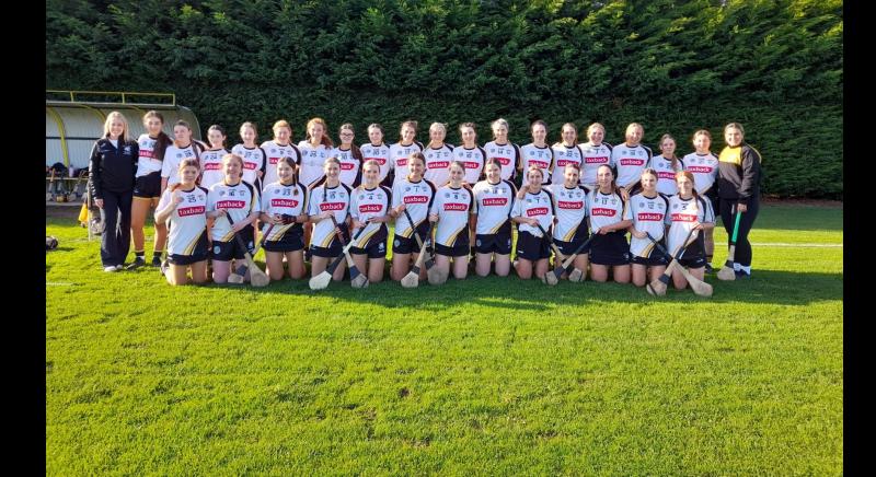 Kilkenny intermediate winners Danesfort lose out in Leinster to Na Fianna