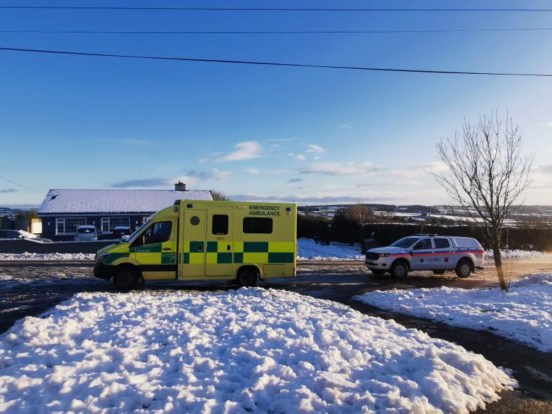 ESB cut power to Laois homes during Status Orange cold weather warning claims councillor