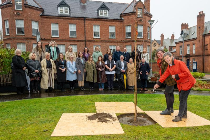 Memorial tree at Derry's Ulster University pays tribute to healthcare professionals