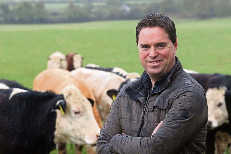 Longford farmers to receive Sheep Welfare and Eco scheme payments