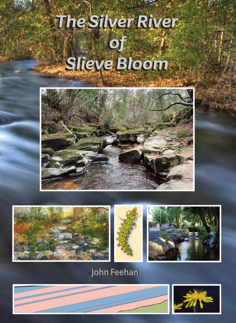 Offaly man's book on local river to be launched next week