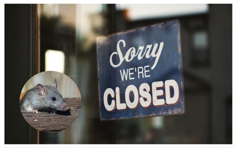 'Dead rats and droppings' - Eleven food businesses across Ireland ordered to close last month