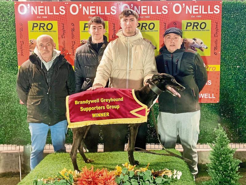 Derry Greyhounds: Zoos Aerial lands Magua O'Kane Memorial Trophy