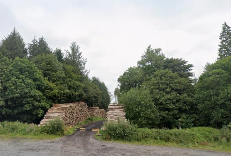 Coillte and councillors discuss vision for first-of-its-kind amenity in North Leitrim village