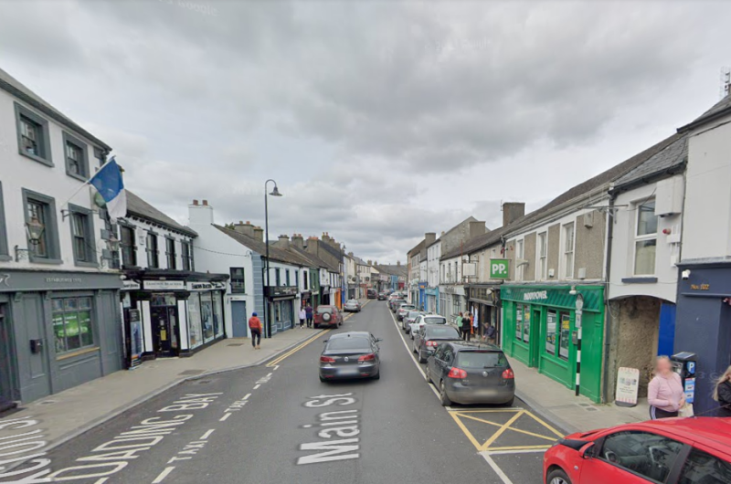 Allegedly stole from Portarlington shop and assaulted a man