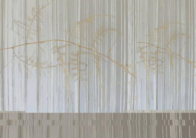New exhibition at Tipperary arts centre traces sequences of movement across three sites