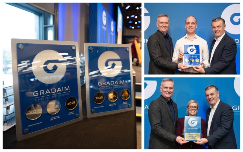 Carlow celebrates as two local businesses honoured at national Irish language awards